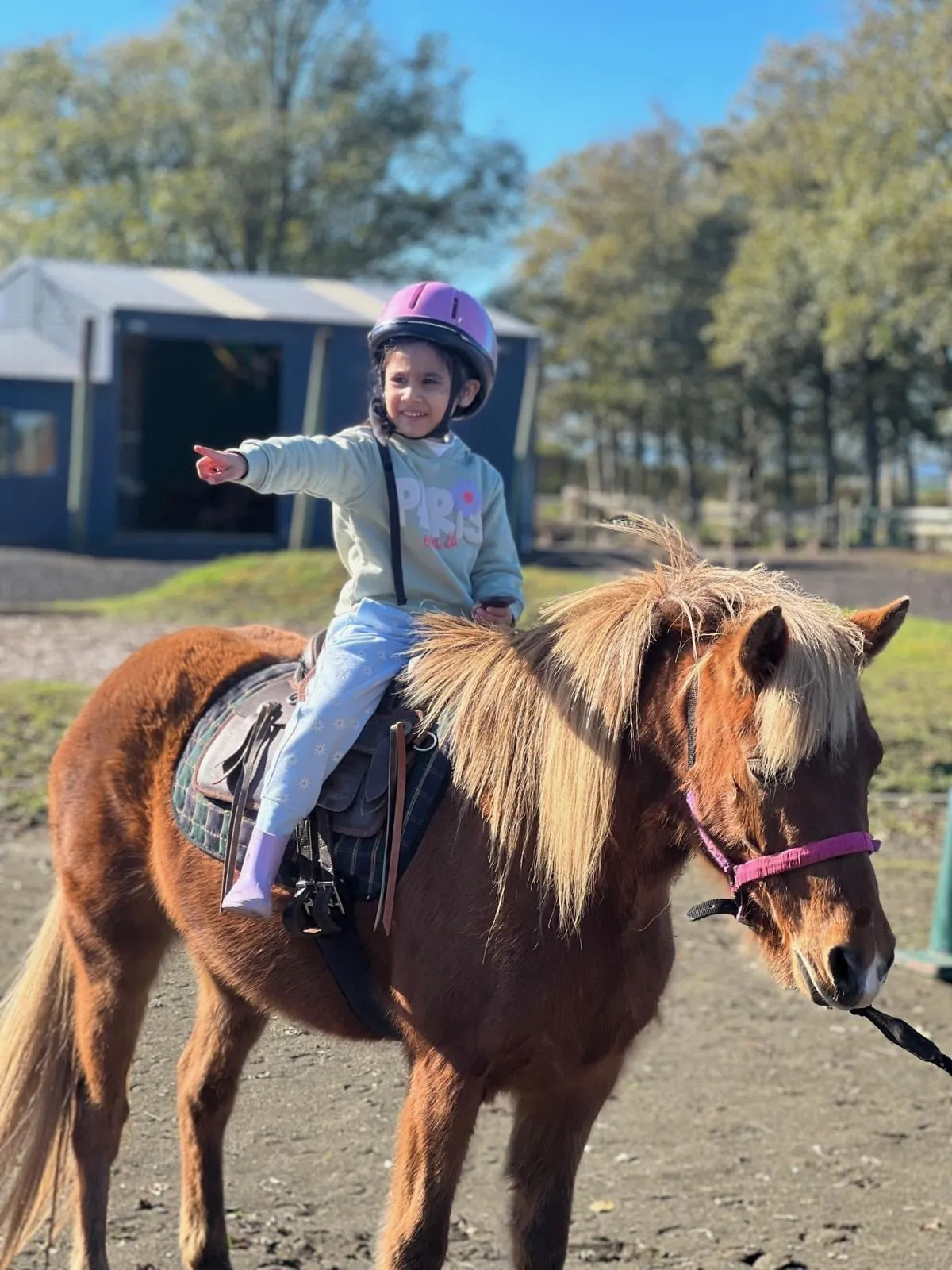 Birthday party, Events, Pony rides, farm animals, Meet and feed animals ...